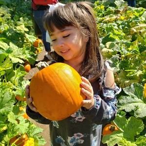 Meet your Posher, Michele